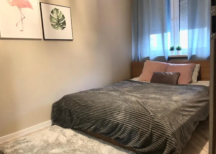 Apartament Szosa Chelminska